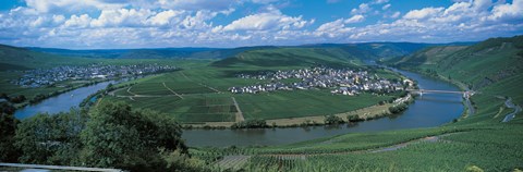 Framed Vineyard Moselle River Germany Print