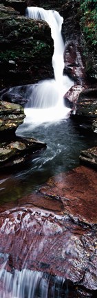 Framed Close-up of a waterfall, Ricketts Glen State Park, Pennsylvania, USA Print