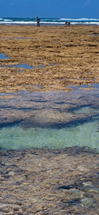 Framed Indian Ocean, Fringe Reef, Mombasa Marine National Park and Reserve, Kenya Print