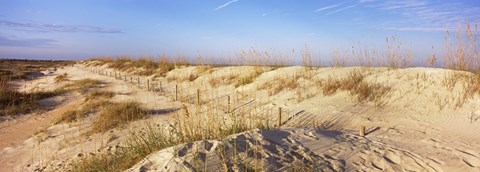 Framed Sand dunes on the beach, Anastasia State Recreation Area, St. Augustine, St. Johns County, Florida, USA Print