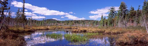 Framed Reflection of clouds in water, Raquette Lake, Adirondack Mountains, New York State, USA Print