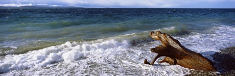 Framed Waves and driftwood on the beach, Whidbey Island, Island County, Washington State, USA Print