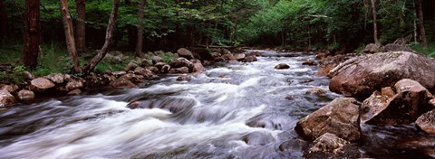 Framed River flowing through a forest, Moose River, Adirondack Mountains, New York State (horizontal) Print