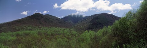 Framed Clouds over mountains, Great Smoky Mountains National Park, Tennessee, USA Print