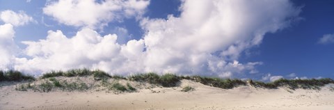 Framed Sand dunes, Cape Hatteras National Seashore, Outer Banks, North Carolina, USA Print