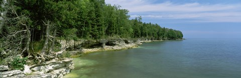 Framed Trees at the lakeside, Cave Point County Park, Lake Michigan, Wisconsin Print