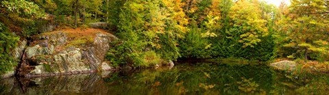 Framed Colorful trees and rocks along the Musquash River, Muskoka, Ontario, Canada Print