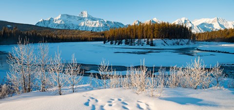 Framed Frozen river with mountain range in the background, Mt Fryatt, Athabaska River, Jasper National Park, Alberta, Canada Print