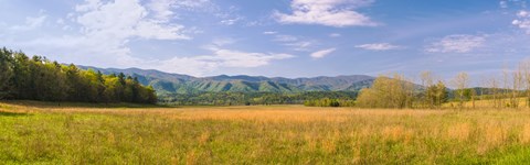 Framed Field with a mountain range in the background, Cades Cove, Great Smoky Mountains National Park, Blount County, Tennessee, USA Print