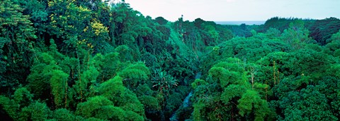 Framed Aerial View of Mauritius Island Print