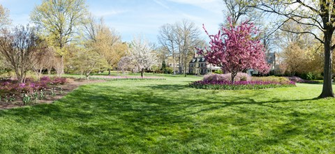 Framed Trees in a Garden, Sherwood Gardens, Baltimore, Maryland Print