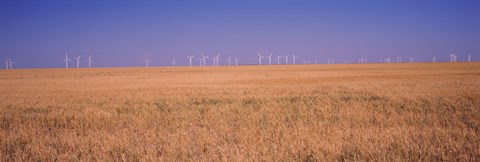 Framed Wind farm at Panhandle area, Texas, USA Print