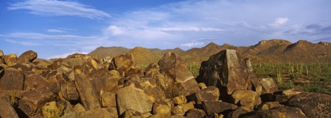 Framed Signal Hill with Petroglyphs, Saguaro National Park, Tucson, Arizona, USA Print