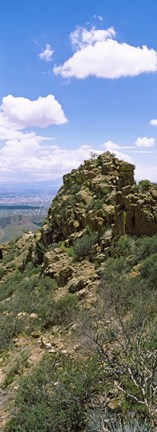 Framed Tucson Mountain Park facing East, Tucson, Arizona, USA Print