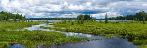 Framed Wetlandsin the Adirondack Mountains, New York State Print