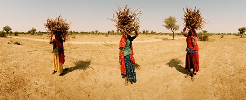 Framed Women carrying firewood on their heads, India Print