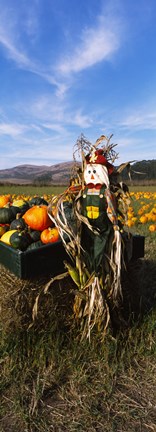 Framed Scarecrow in Pumpkin Patch, Half Moon Bay, California (vertical) Print