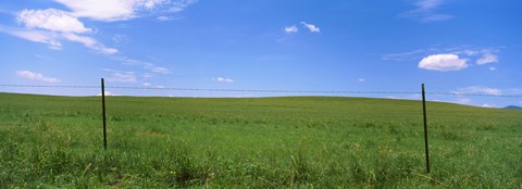 Framed Barbed Wire fence in a field, San Rafael Valley, Arizona, USA Print