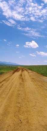 Framed Dirt road passing through San Rafael Valley, Arizona Print