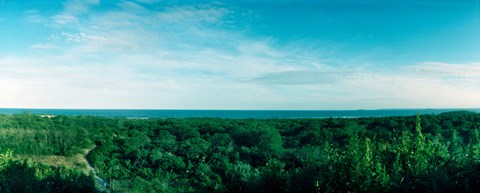 Framed High angle view of trees with Atlantic Ocean at Fort Tilden beach, Queens, New York City, New York State, USA Print