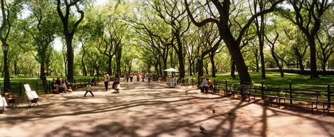 Framed Central Park, New York City, New York State Print