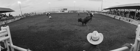 Framed Cowboy riding bull at rodeo arena, Pecos, Texas, USA Print