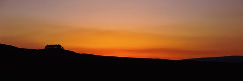 Framed Silhouette of a tree at dusk, Kirkcarrion, Middleton-In-Teesdale, County Durham, England Print