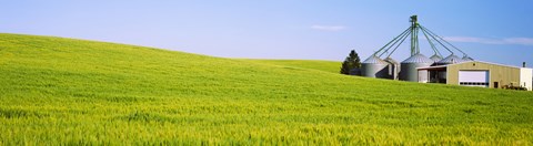 Framed Wheat field with silos in the background, Palouse County, Washington State Print