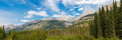 Framed Trees with Canadian Rockies in the background, Smith-Dorrien Spray Lakes Trail, Kananaskis Country, Alberta, Canada Print