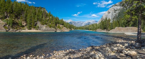 Framed River passing through a forest, Bow River, Banff National Park, Alberta, Canada Print