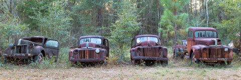 Framed Old rusty cars and trucks on Route 319, Crawfordville, Wakulla County, Florida, USA Print