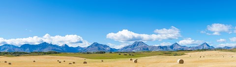 Framed Hay bales in a field with Canadian Rockies in the background, Alberta, Canada Print