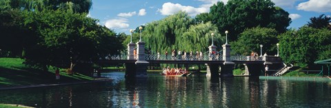 Framed Swan boat in the pond at Boston Public Garden, Boston, Massachusetts, USA Print