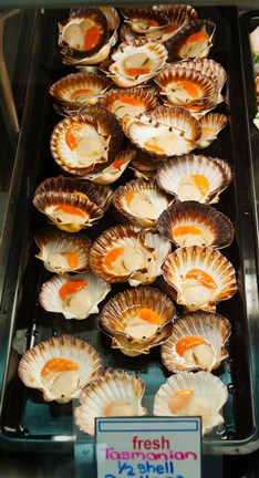 Framed Tasmanian oysters for sell in the Central Market, Adelaide, South Australia, Australia Print