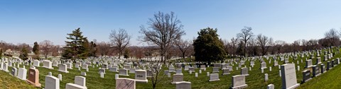 Framed Tombstones in a cemetery, Arlington National Cemetery, Arlington, Virginia, USA Print