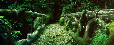 Framed Wooden bridge in the subtropical forest, Parque Lage, Jardim Botanico, Corcovado, Rio de Janeiro, Brazil Print