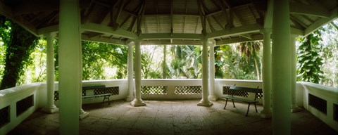 Framed Canopy in the botanical garden, Jardim Botanico, Zona Sul, Rio de Janeiro, Brazil Print