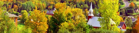 Framed High angle view of trees, Frelighsburg, Quebec, Canada Print