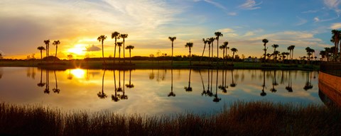 Framed Reflection of trees in water at sunset, Lake Worth, Palm Beach County, Florida, USA Print