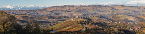 Framed High angle view of vineyards and castle, Grinzane Cavour, Langhe, Cuneo Province, Piedmont, Italy Print