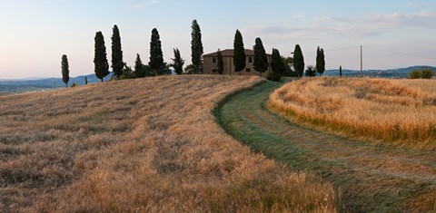 Framed Road leading towards a farmhouse, Val d&#39;Orcia, Tuscany, Italy Print