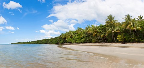 Framed Trees on the beach, Cape Tribulation, Daintree River National Park, Queensland, Australia Print