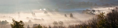 Framed Misty morning valley, Uley, Gloucestershire, England Print