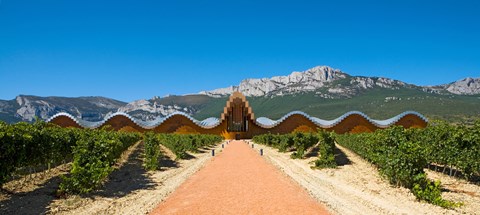 Framed Bodegas Ysios winery building and vineyard, La Rioja, Spain Print