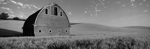 Framed Black and White view of Old barn in a wheat field, Washington State Print