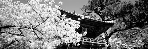 Framed Golden Gate Park, Japanese Tea Garden (black &amp; white) Print