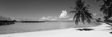 Framed Moana Beach (black and white), Bora Bora, Tahiti, French Polynesia Print