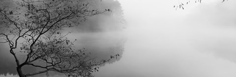 Framed Reflection of trees in a lake, Lake Vesuvius, Wayne National Forest, Ohio, USA Print