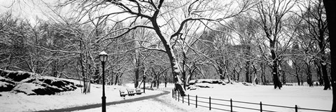 Framed Central Park in Snow Print