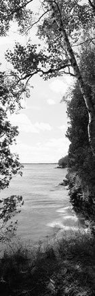 Framed Trees at the lakeside in black and white, Lake Michigan, Wisconsin Print